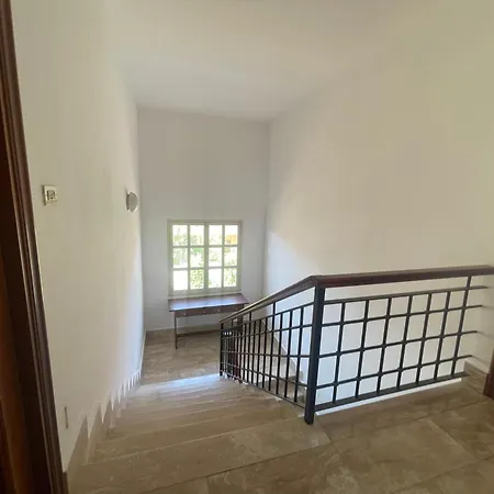 Apartmán Paradise Palace 1 *